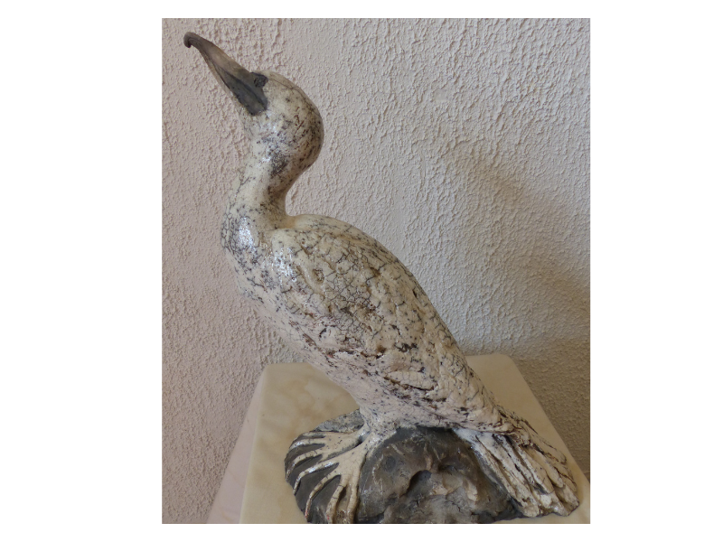 Cormoran raku