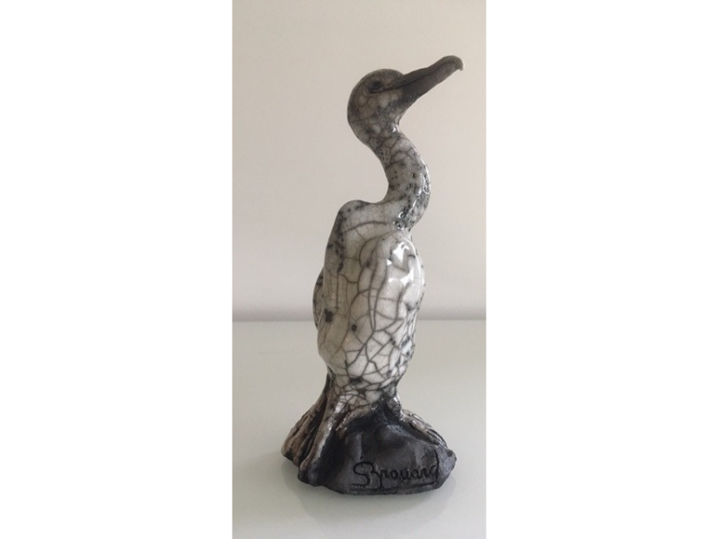 Petit cormoran 3